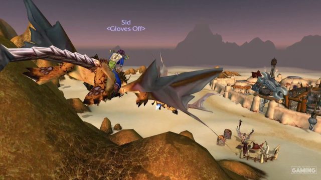 WoW Classic Group Flight Path on Kalimdor - Video