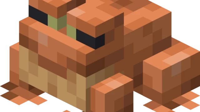 Minecraft Temperate Frog