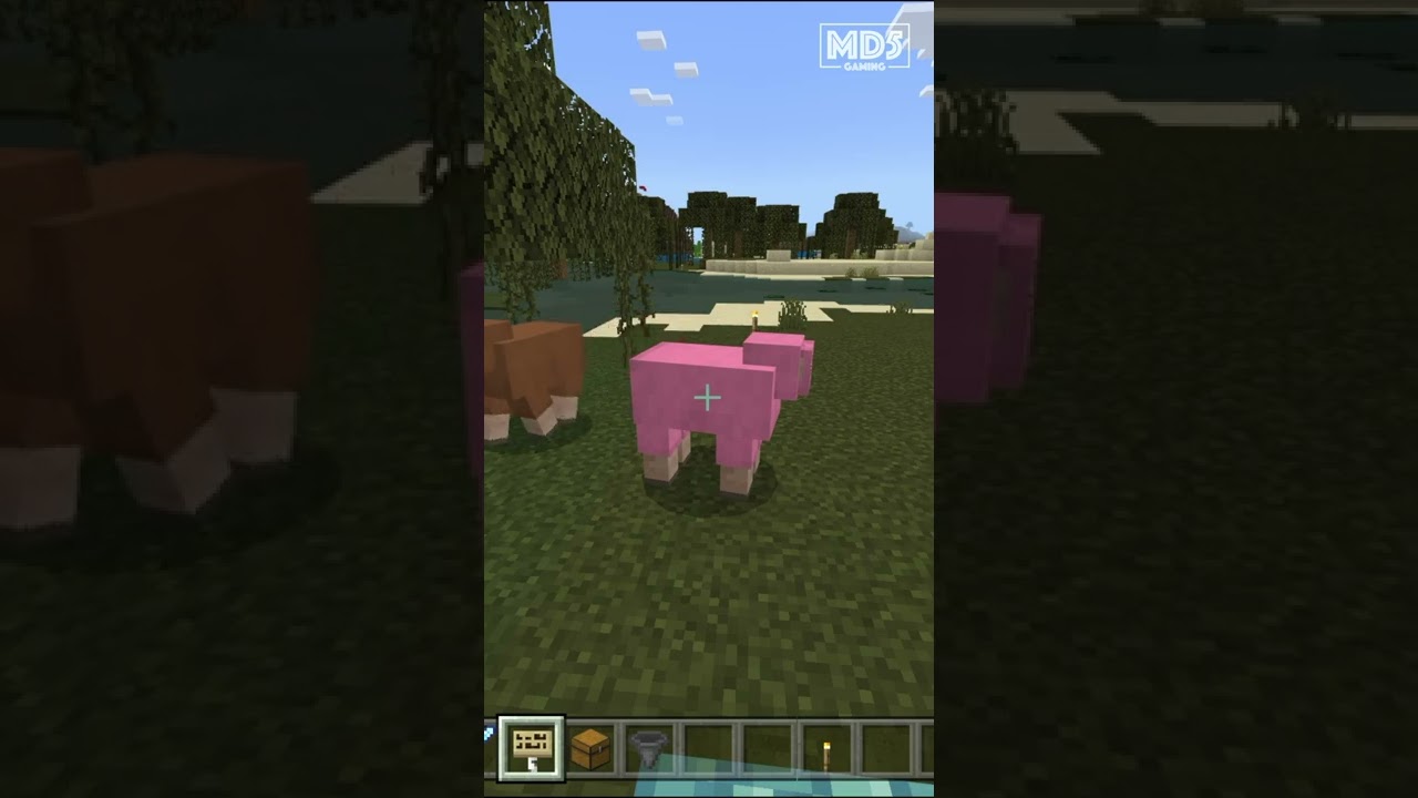 Rare Wild Pink Sheep In Minecraft 😄 - Bedrock Meme Survival Realm Xbox Gaming #shorts