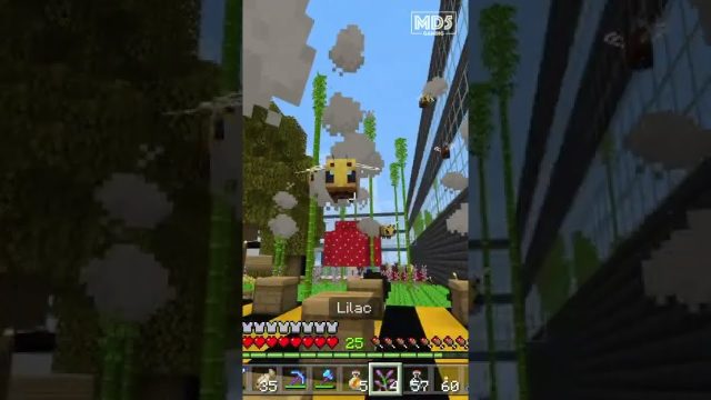 Breeding Bees 🐝 🍯 - Minecraft Bedrock Survival - Xbox Series X Gaming ASMR Ambience #shorts