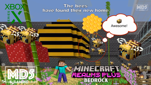 Bee Home Build Honey Farm 🐝 🍯 - Minecraft Bedrock Realms Plus Hard Survival - Xbox Series X Gaming