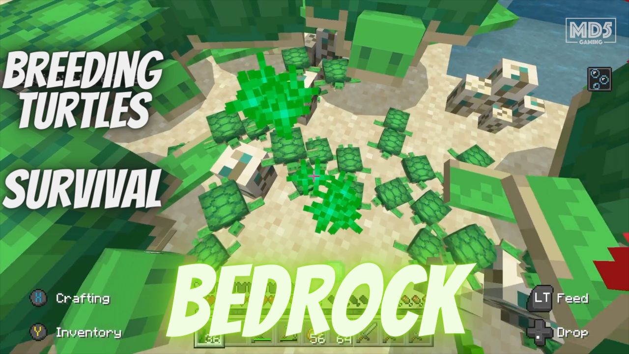 Breeding Turtles - Minecraft Bedrock Realms Hard Survival | Xbox Series X - Gaming ASMR