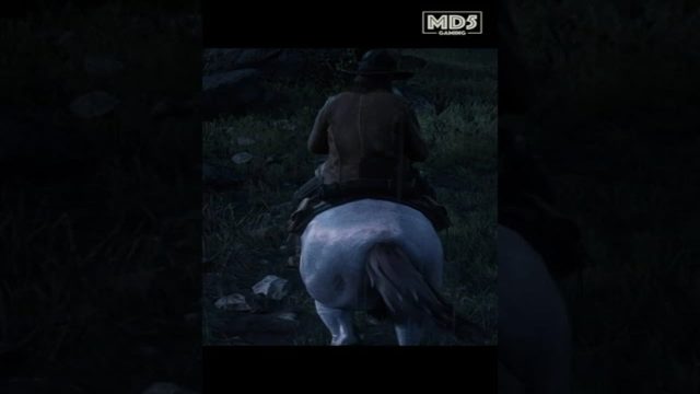 Red Dead Redemption 2 - Ambient Cinematic Immersion Gaming - Horse Riding - Xbox Series X - #shorts