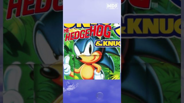 Sonic 3 & Knuckles 🌀 - Bonus Stage 1 Music - Retro Gaming #shorts