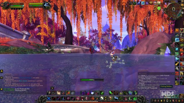 WoW Ambience Fishing In Suramar - Legion - Relaxing Sounds - Rogue - Gameplay - Ambient Views