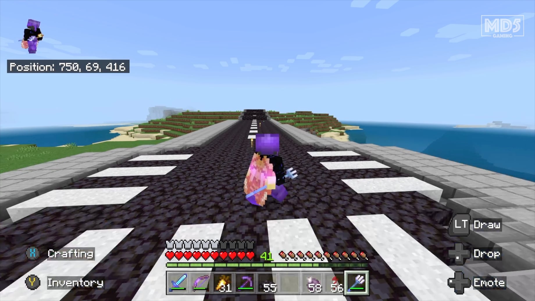 Minecraft Survival Modern Road Cul De Sac