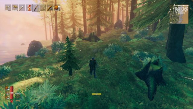 Valheim Environment