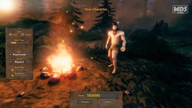 Valheim Character Creation