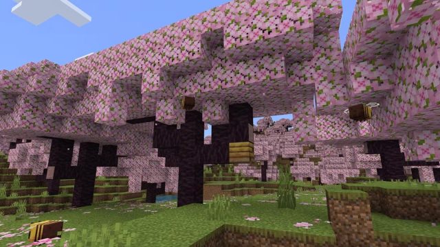 Cherry Blossom Biome In The Minecraft 1.20 Trails & Tales Update