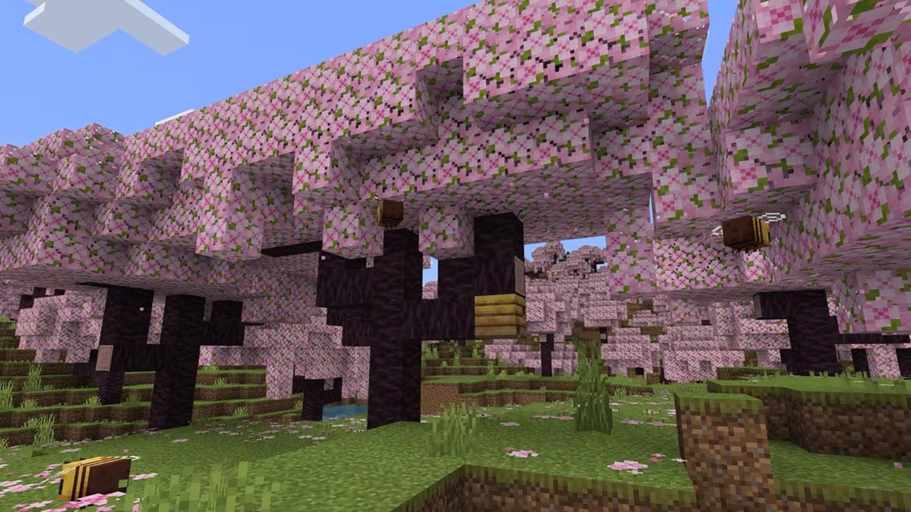 Cherry Blossom Biome In The Minecraft 1.20 Trails & Tails Update