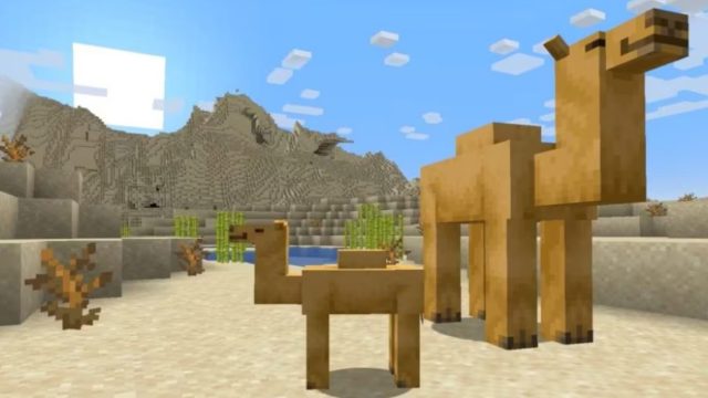Camels In The Minecraft 1.20 Trails & Tales Update