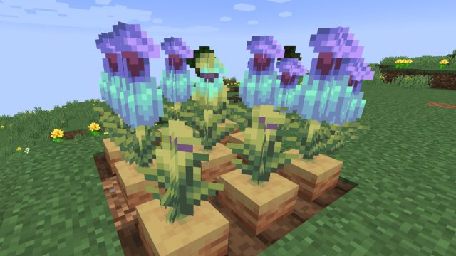 Pitcher Plant In Minecraft 1.20 Trails & Tales Update