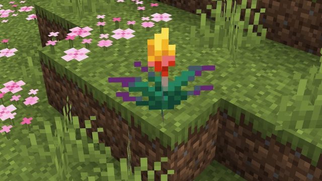 Torchflower In Minecraft 1.20 Trails & Tales Update